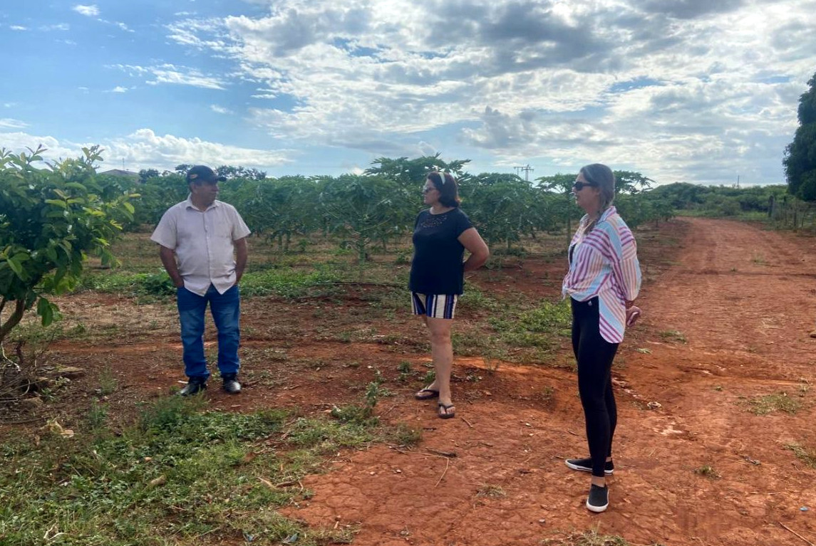 Produtores de frutas recebem IFG